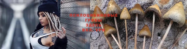винт Переславль-Залесский
