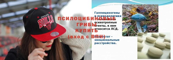 винт Переславль-Залесский