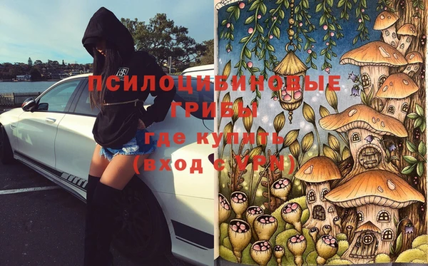 винт Переславль-Залесский
