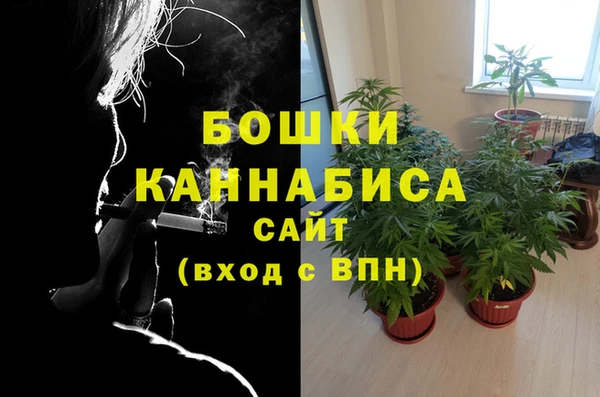 мет Пересвет