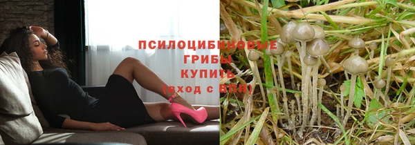 винт Переславль-Залесский