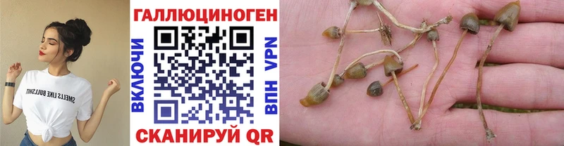 Галлюциногенные грибы Magic Shrooms  Торжок 